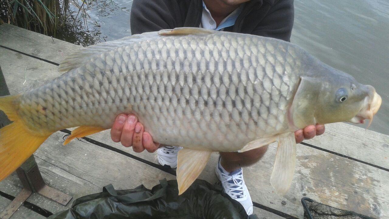 Magura 9 5 - 6 sep. - img-20140906-wa0011.jpg